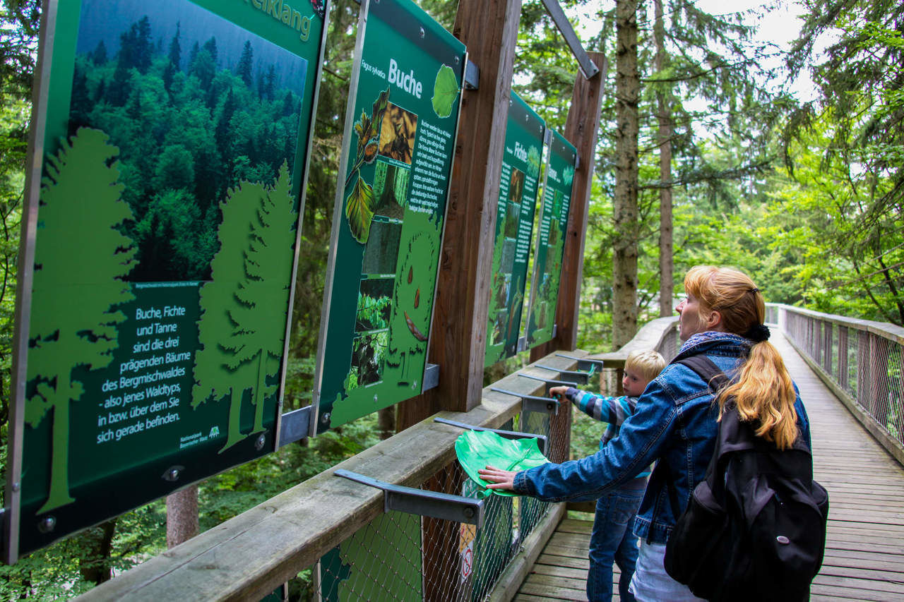 Baumwipfelpfad Bayerischer Wald Niederbayern Ausflugsziele